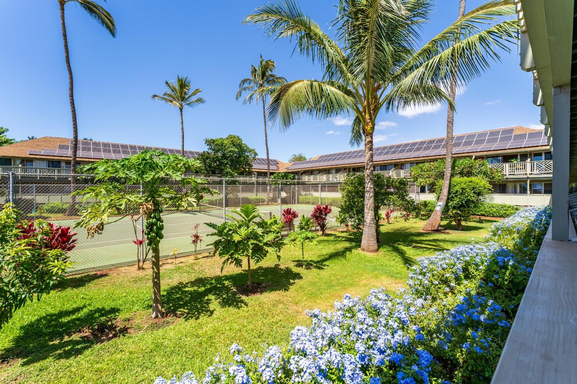 Kihei Bay Surf D142 A Safe Place To Stay Εξωτερικό φωτογραφία